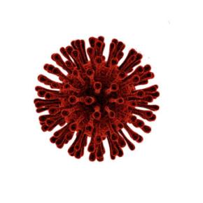 【感染】新型コロナ（4日目）