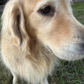 原資をいくらに設定するか ? なのかな ??