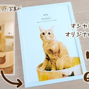 ペットの似顔絵をオシャレなインテリアに！スマホ写真から作れるうちの子グッズQooのアートポスターフレーム