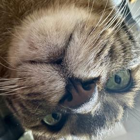 ニンゲン イキテル カ？