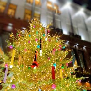 キザにハットで薔薇に乾杯！ FANtastic Christmas in UMEDA〜花の会〜