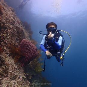 プーケットの海で3日間のファンダイビングが楽しすぎた