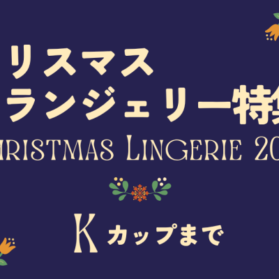 グラマーさん専用！クリスマスランジェリー特集2025