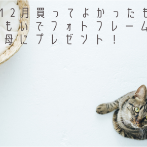 2025年12月買ってよかったもの｜みてねおもいでフォトフレームを祖母にプレゼント！