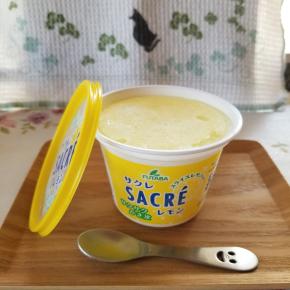 猫日記 時間の使い方