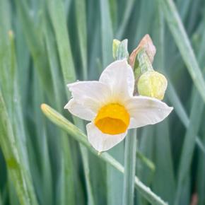 お正月、いつもと同じじゃダメですか