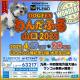 【広島県】わんだふる山口 2025 ～Presented By tys～  2025年4月19日(土)・20日(日)開催イベント情報
