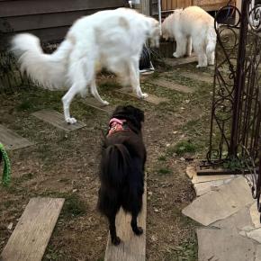 ようやく、ようやく、、ここまで・・・（笑）