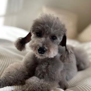 セッションのご感想 SちゃんとTさん