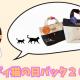 毎年恒例のカルディ猫の日バッグ2025 ！中身を早速チェックしてみよう！