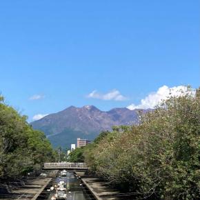 元気に復活した夫