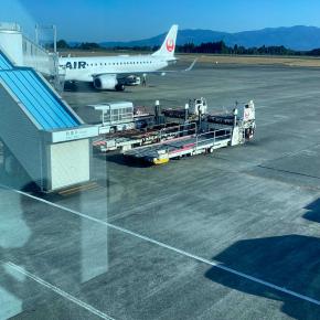 心配で息子に会いに飛んでいく