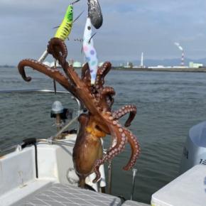 今年のタコはダメだ～6月13日釣果