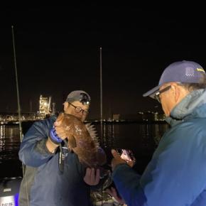 四日市港！冬パターンの浅場でフィッシング遊オリカラ“ドリザリー”が爆発！ランカー登場の大盛り上がり！11月29日釣果