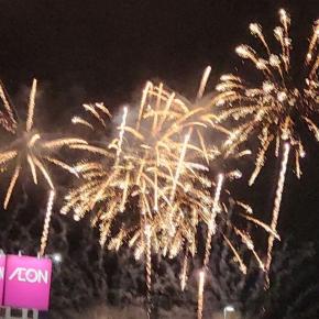 【再掲】本当の「聖霊」に従います！！