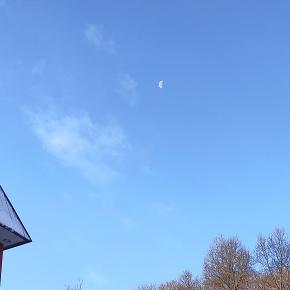 【複製】アボジの残された「天聖經」・・・最高です！！！ ビンゴも当たる？？？