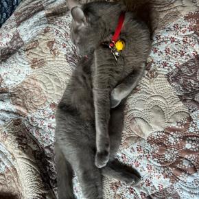 毛づくろい・・・