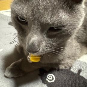 待ってるのは・・・