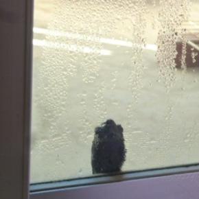 ジェニ－★覗き魔