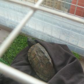 今週は徐々に暖かくなるそうな。。。