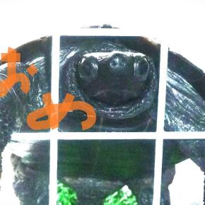 ジェニ－★苦節18年。。。