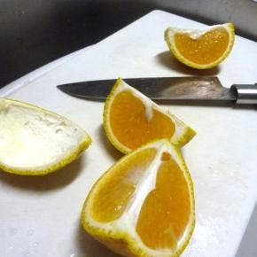 夏ミカンと思って居た＞＞＞君の名は？