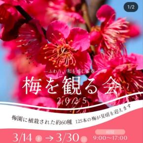 梅結びワークショップ