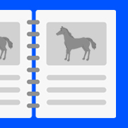 公開完全1点予想:単複【競馬】全結果