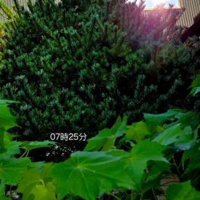 8月25日月曜日 もう一週間を切る