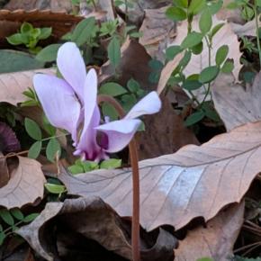 <span>余白。余韻。間。</span><span>令和七年は、より一層余白に心を込めるということに努めたい。</span>