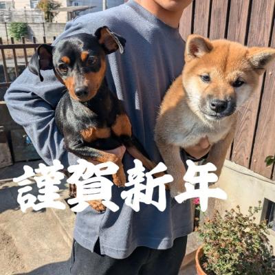 あけましておめでとうございます！2026マロンと一緒に新年スタート！