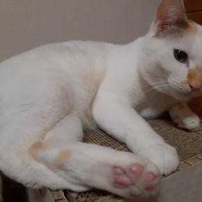 丸4年経ちました