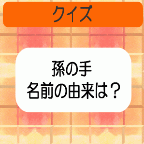 【孫の手】 名前の由来は？ 【クイズ】