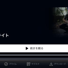 『ロスト・フライト』