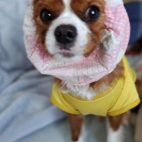 放射線治療は終わったけれど