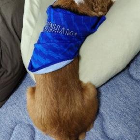 そら君 食べ疲れ