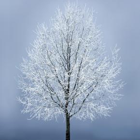 咲ちゃんサヨナラショーは新しいカタチ✨