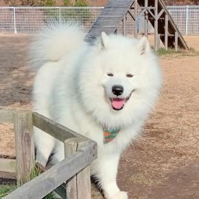 Last Run of 2025 at Seagull Park 12/23/2025