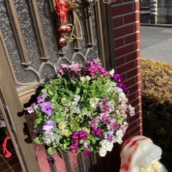 お花、届きました。