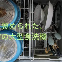 友人・家族が驚いた！タカラの大容量食洗機が「ちゃんと落ちる」と言われた理由
