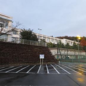 岩石の中の悠久の歴史