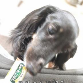 ち、力尽きまして…