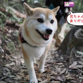 2025.10.13 車中泊旅行 近江八幡 2日目 その1