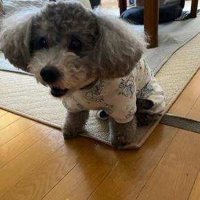 気温が下がり、私は風邪気味