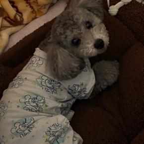 お休みには、かなわない