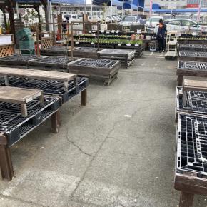 結局大晦日もバタバタと～2025年〆の挨拶～☆