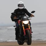 ターンパイクの桜のトンネル