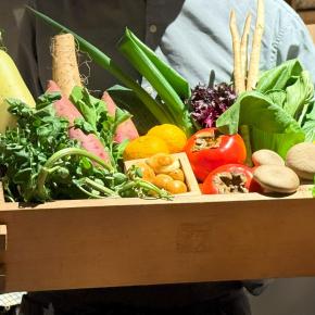 京都で野菜が美味しい飲み放題付きの隠れ家レトラン「URAISO」でディナー