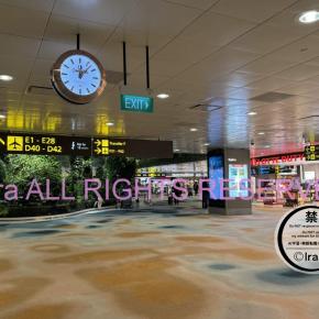 2026最新シンガポール入国前後の流れ一覧/観光/移住