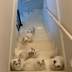 ニナちゃんの生まれた日から卒業まで